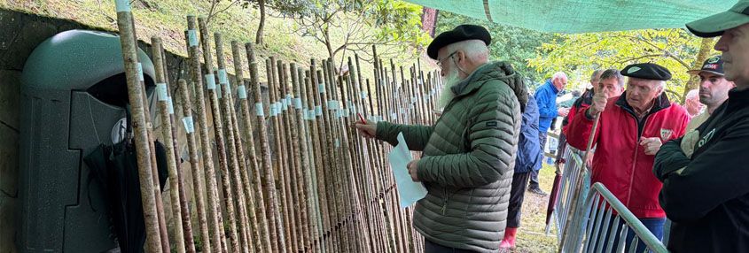 IV Concurso de Varas de Avellano en San Isidro